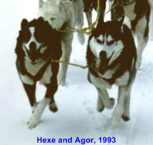 Agor-Hexe-199302
