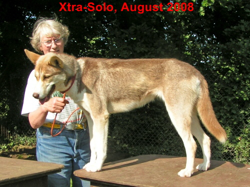 Xtra-20080803-03
