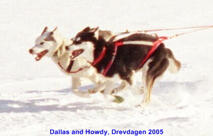 Howdy-2005-03-Drevdagen02