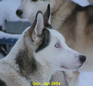 Don-Kopf-2004-01-30-0302