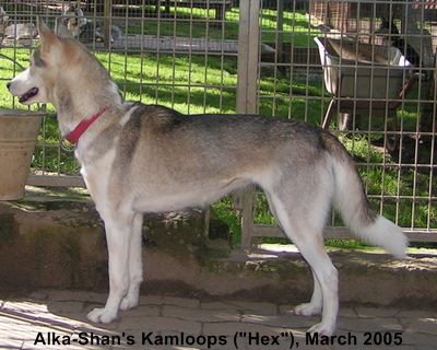 Kamloops-2005-09-17-a02